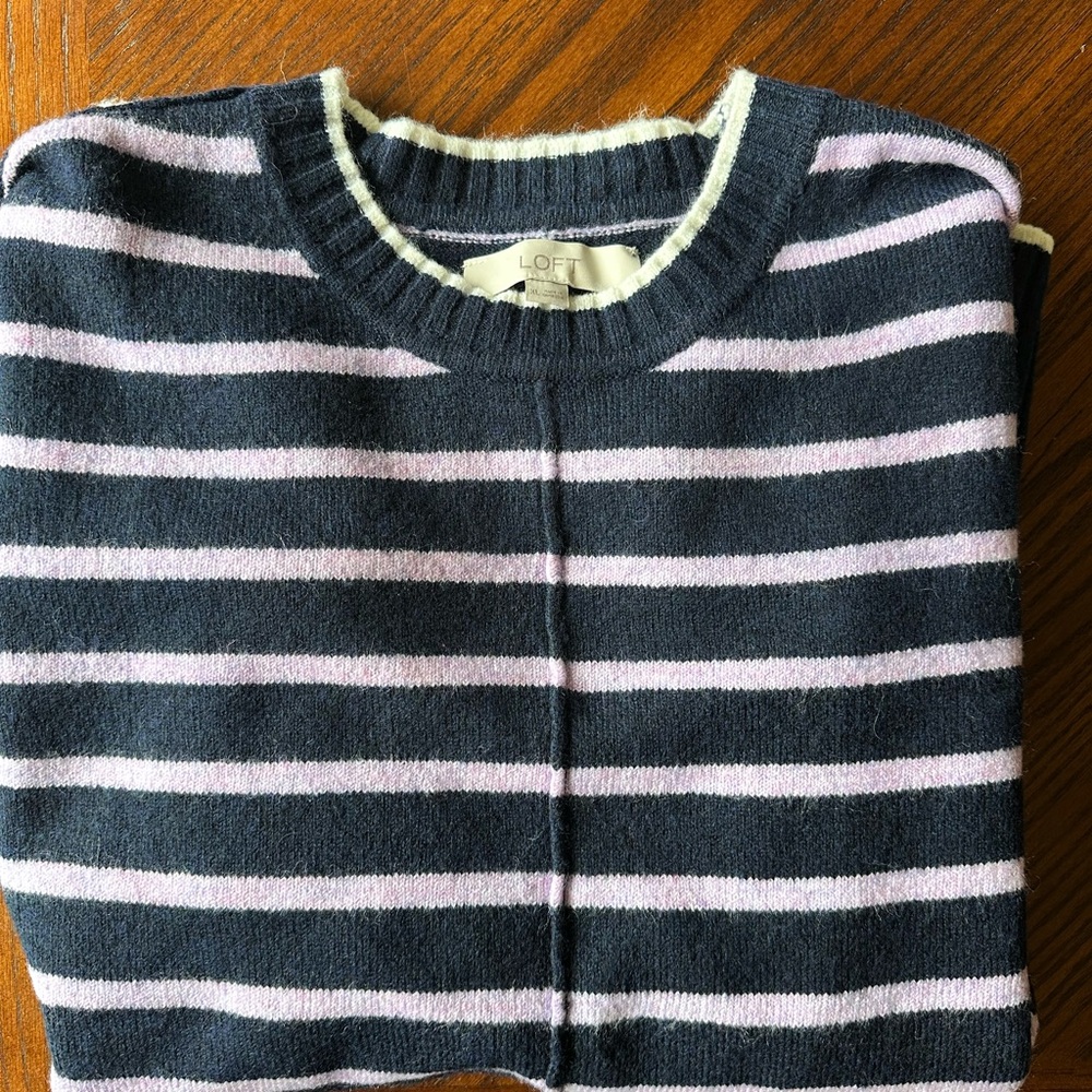 Loft Stripe Relaxed Tunic Sweater
